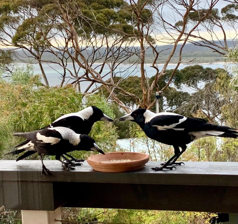 The River Suites, Kangaroo Island アメリカン・リバー エクステリア 写真