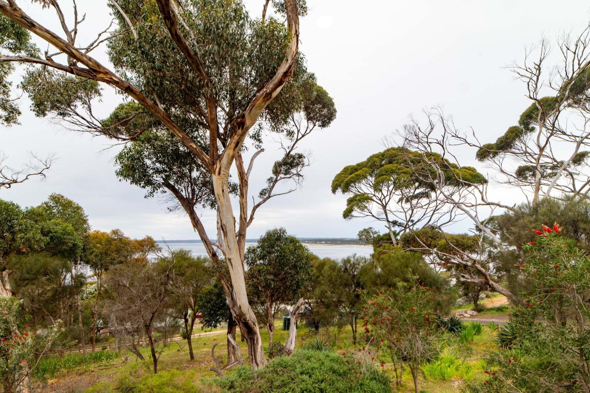 The River Suites, Kangaroo Island アメリカン・リバー エクステリア 写真
